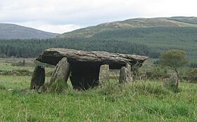 Glantane East Wedge Tomb