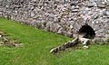 Haughmond Abbey refectory undercroft sluice