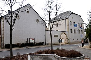 The town hall in Heffingen