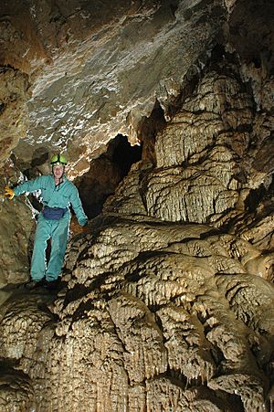 Horne lake lower cave