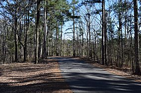 Hugh White State Park Road.jpg