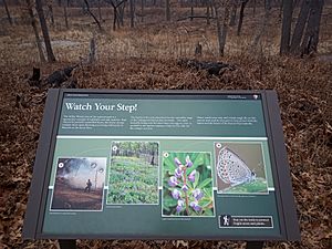 Karner blue information sign Miller Woods