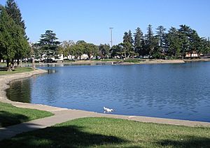 Ellis Lake, Centerpiece of the city.