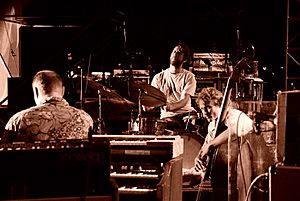 Medeski Martin & Wood