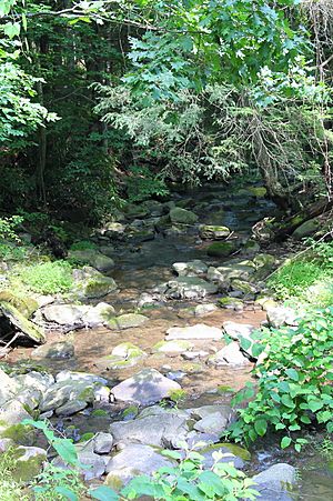 Mill Creek looking downstream