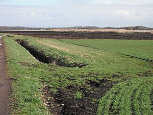 Mossland off Small Lane - geograph.org.uk - 1773666