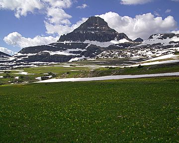 Mount Reynolds at Logan Pass.jpg