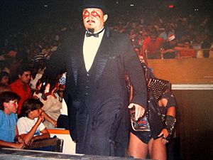 Mr Fuji