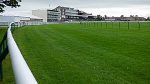 NS3422 - Ayr Racecourse