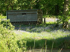 Nagshead Lower Hide