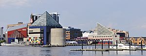 National Aquarium from Inner Harbor - 01