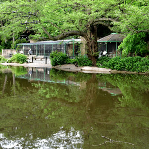 Nottingham Arboretum Aviary