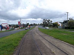 Old Cleveland Road Tramway Tracks.jpg