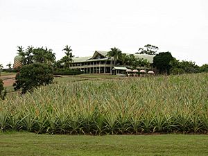 Pineapple - looking south from train ride towards restaurant (2007)