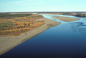 Porcupine River YFNWR.jpg