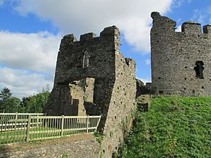 Restormel Castle 2018 1