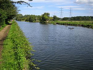 River Lee Navigation2