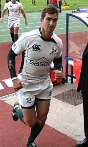 Ruan Pienaar, Springbok