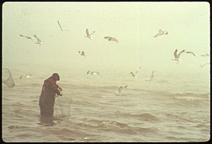 SMELT RUN AT TAWAS CITY. (FROM THE SITES EXHIBITION. FOR OTHER IMAGES IN THIS ASSIGNMENT, SEE FICHE NUMBERS 149, 150... - NARA - 553812