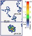 Single-Molecule-Under-Water-AFM-Tapping-Mode