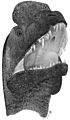 Sinosaurus