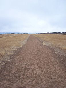 Table Rock Airstrip