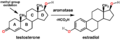 Testosterone estradiol conversion