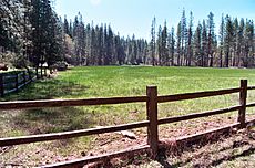 Vernal pool