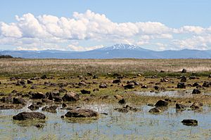 Vernal pool lower table rock