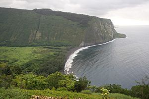 Waipio Lookout View