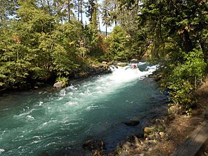 White Salmon River, WA.jpg