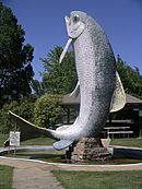 Adaminaby big trout