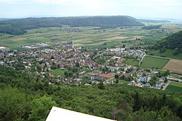 Beringen aerial.jpg