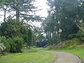 Biddulph Grange the pinetum