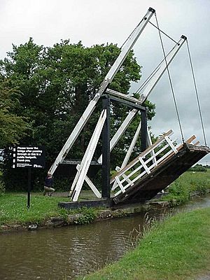 Bridge "Wrenbury Lift ^2" - geograph.org.uk - 336435