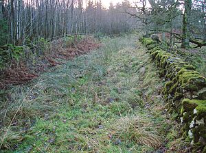 Brown Muir Hill near Nebanoy.JPG