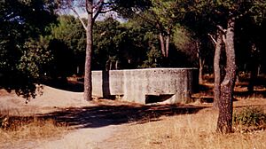 Bunker2 las Rozas