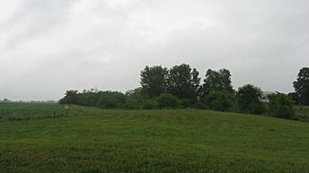 Cary Village Site.jpg