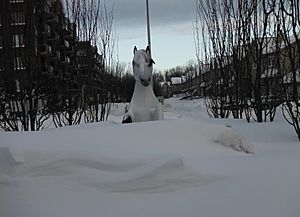 Cheval Blanc in snow