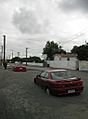 Christchurch quake cars, 2011-02-22