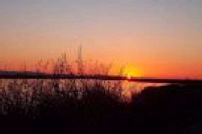 Cosumnes River Preserve.jpg