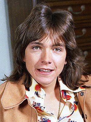 David Cassidy 6 Allan Warren (cropped).jpg