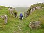 Dunadd-Hillfort-CarvedPathway.JPG