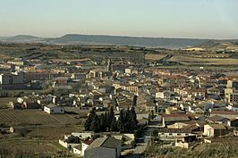 Fuenmayor camino viejo.JPG