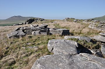 Garrow Tor DSC 7073.jpg