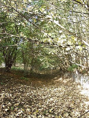 Geograph-1546909-Welland-Canal-by-Glyn-Weekes