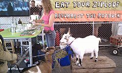 Goats and cheesemaking workshop, Maker Faire 2011