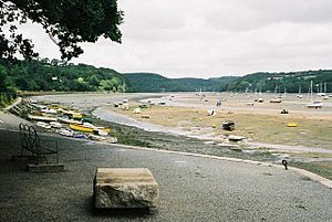 Golant, River Fowey - geograph.org.uk - 495276.jpg