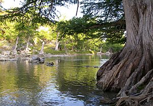 Guadalupe river state park