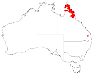 Hakea persiehanaDistMap106.png